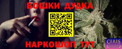 крисы Ливны