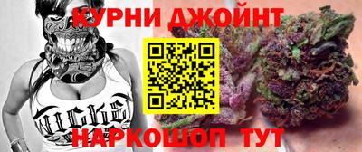 сатива Лесосибирск